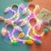 Sea Dragon Studio Accessories LED Bunny Ears