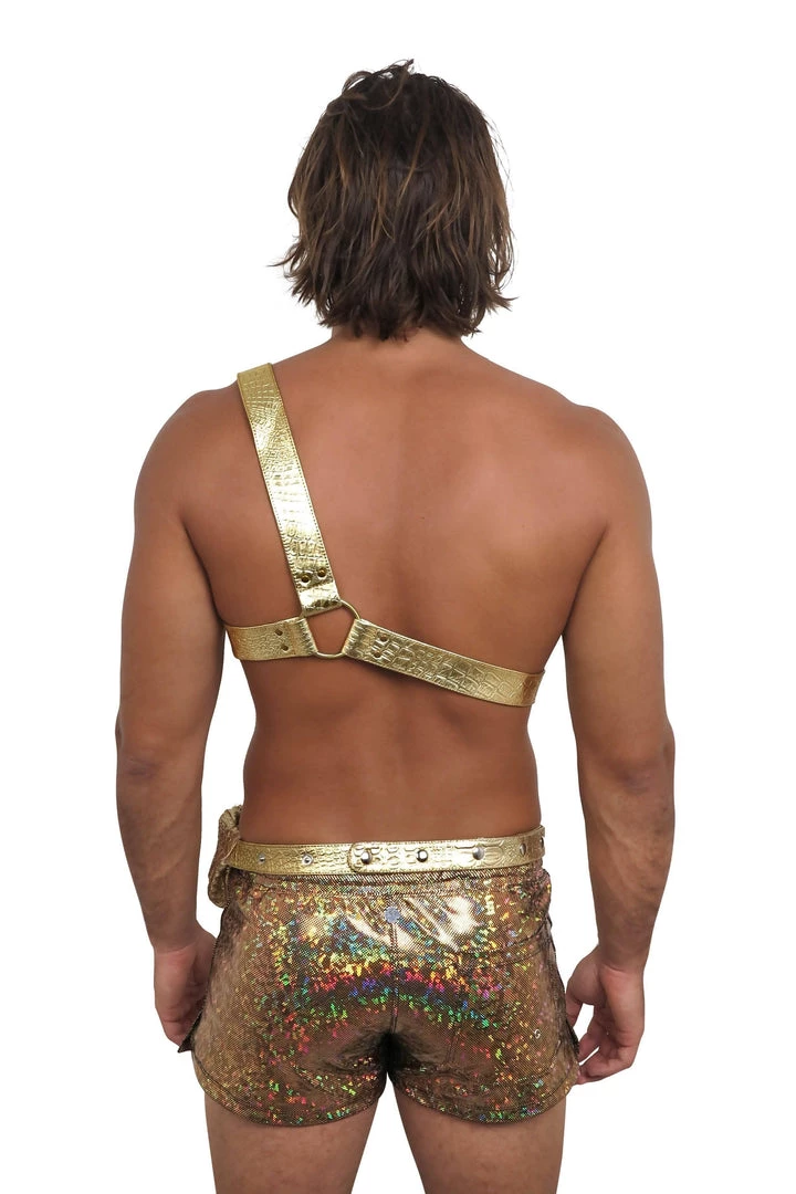 SEA DRAGON STUDIO Most Popular Mens Holo Retro Running Shorts | 13 Colors 5 SEA DRAGON STUDIO Most Popular Mens Holo Retro Running Shorts | 13 Colors