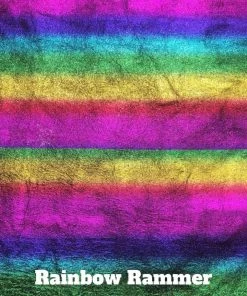 HOLOSEXUAL No Tassle Hassle Holographic Leather Harness