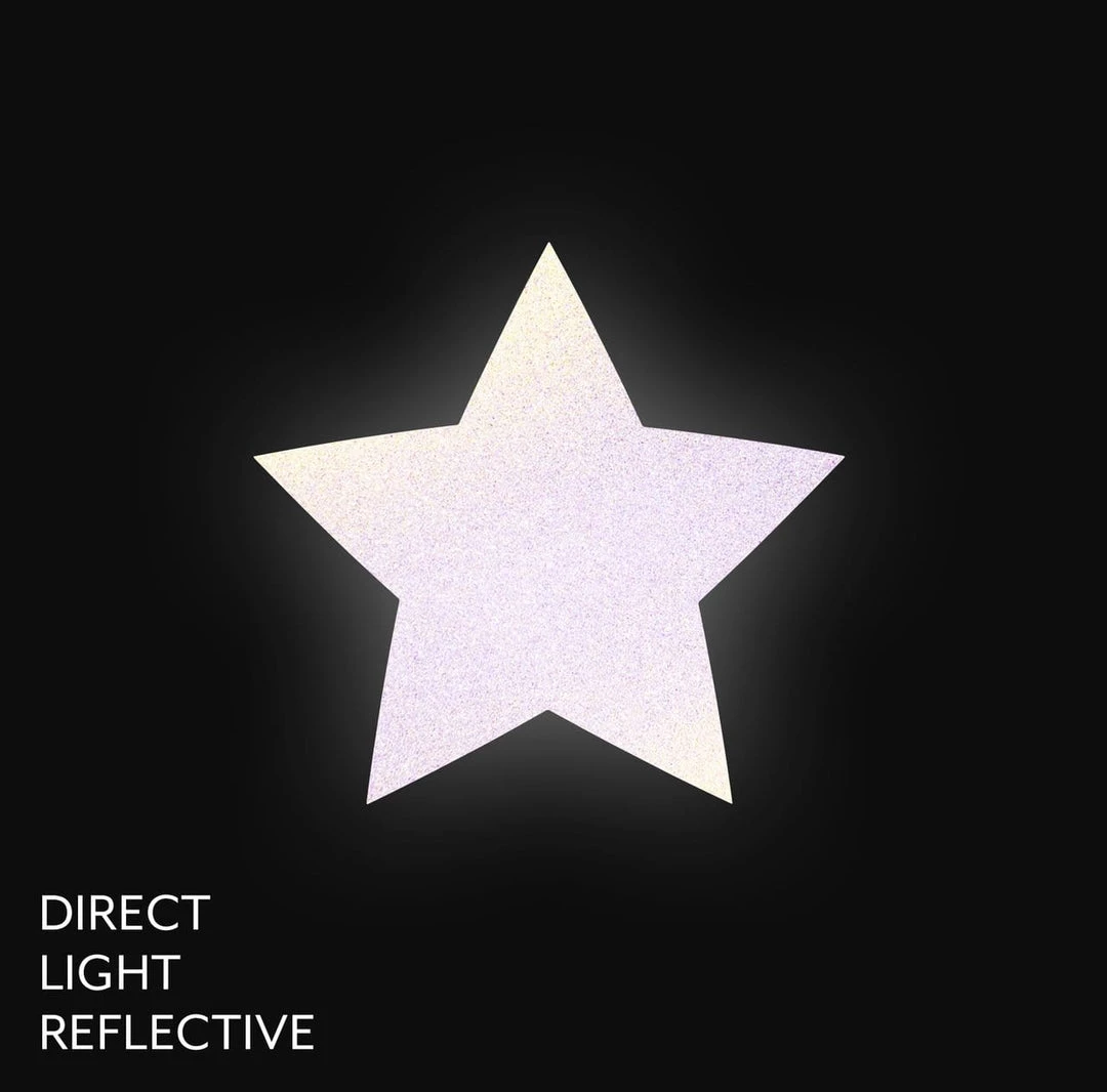 PASTEASE Reflective Gun Metal Grey Star Nipple Pasties 4 PASTEASE Reflective Gun Metal Grey Star Nipple Pasties