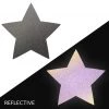PASTEASE Reflective Gun Metal Grey Star Nipple Pasties 1 PASTEASE Reflective Gun Metal Grey Star Nipple Pasties